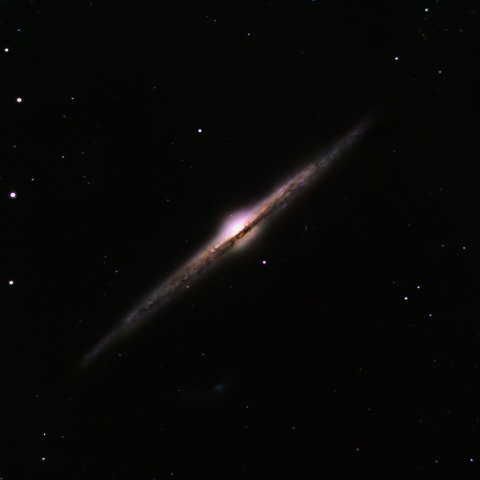 NGC4565