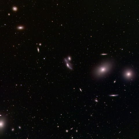 マルカリアンチェーン