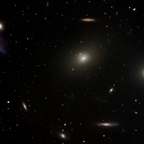 マルカリアンチェーン