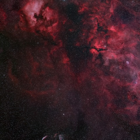 北アメリカ星雲，ペリカン星雲，サドル付近，クレセント星雲，網状星雲・・・etc