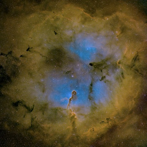 IC1396 Garnet Star 像の鼻星雲
