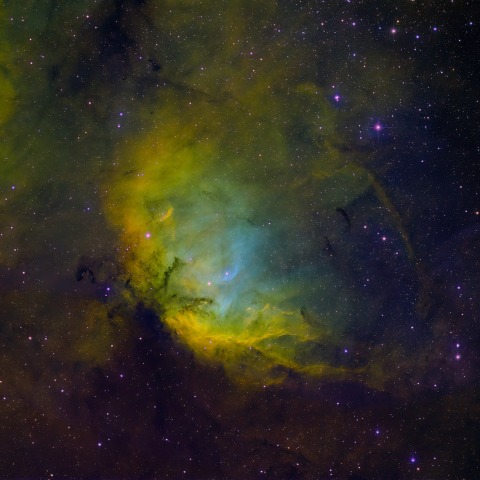 Sh2-101 (チューリップ星雲)