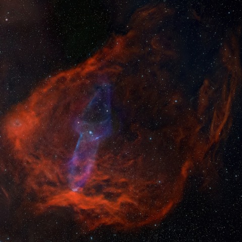 Sh2-129 (コウモリ星雲・イカ星雲)