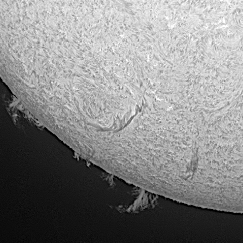 南東部のプロミネンス