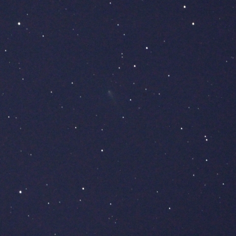 火星軌道付近まで近づいてきたアイソン彗星