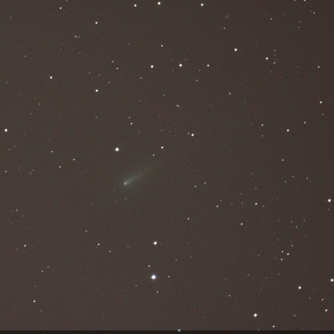 大きくなってきました、アイソン彗星