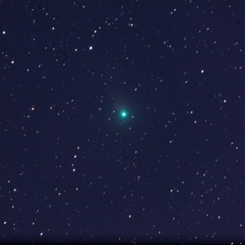 C/2009 K5 マックノート彗星