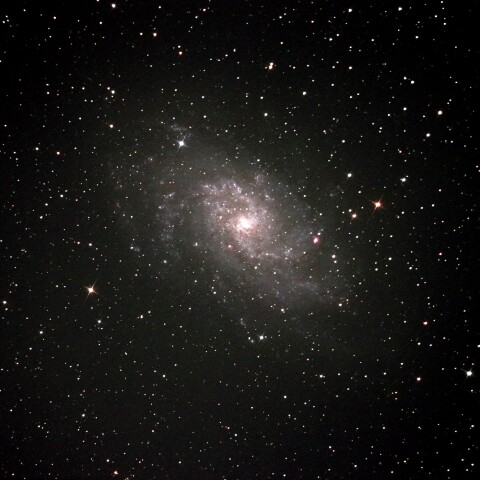 M33
