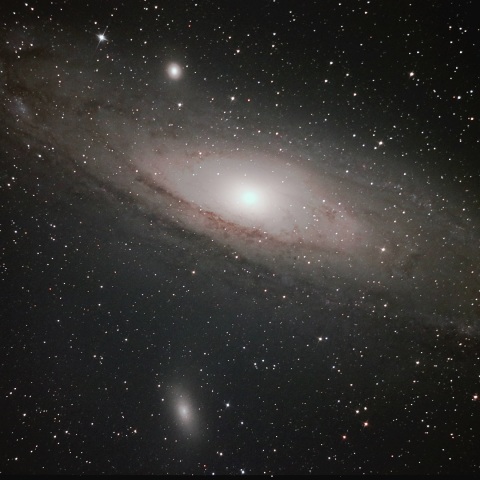 M31