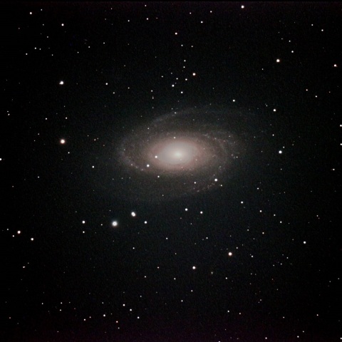 M81