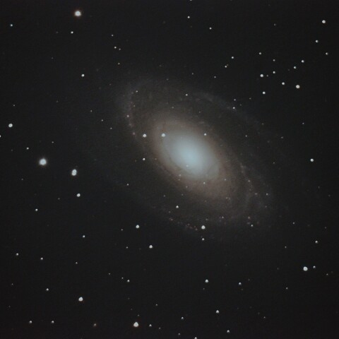 M81