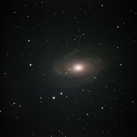 M81