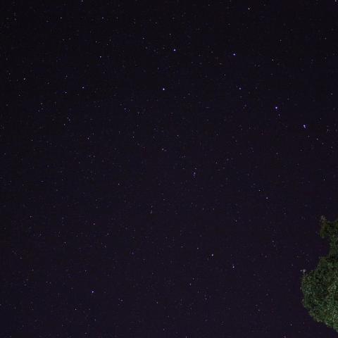 北極星と北斗七星