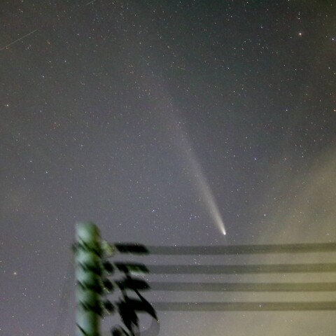 紫金山・アトラス彗星