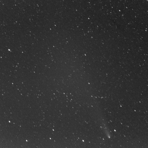 紫金山・アトラス彗星11/3