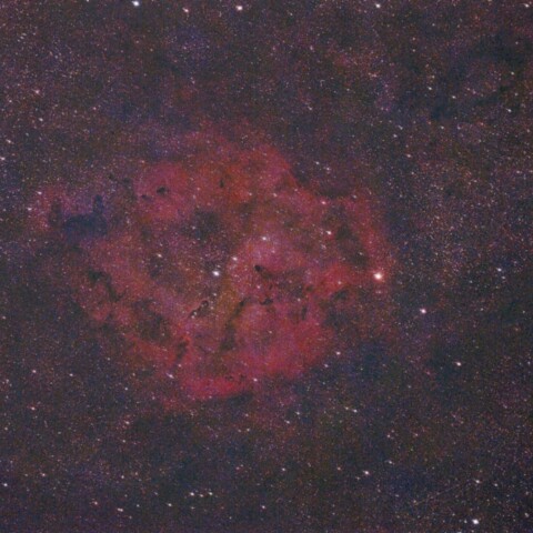 ガーネットスター　IC1396　