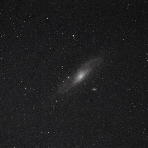 M31　
