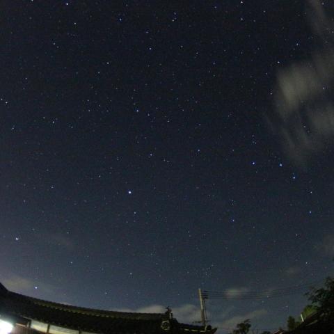 名残の春の大曲線