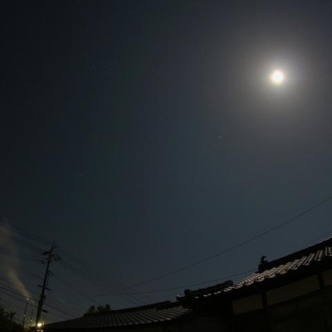中秋の名月