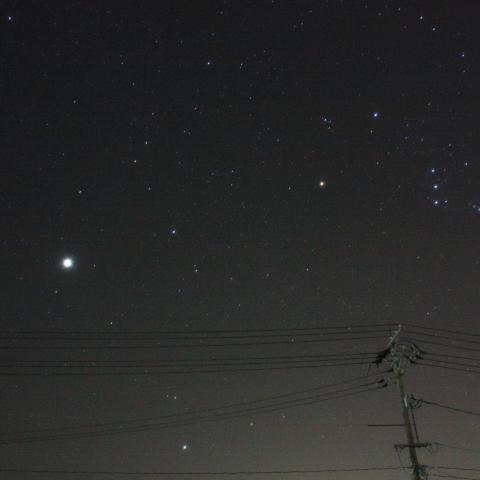 元旦のオリオン