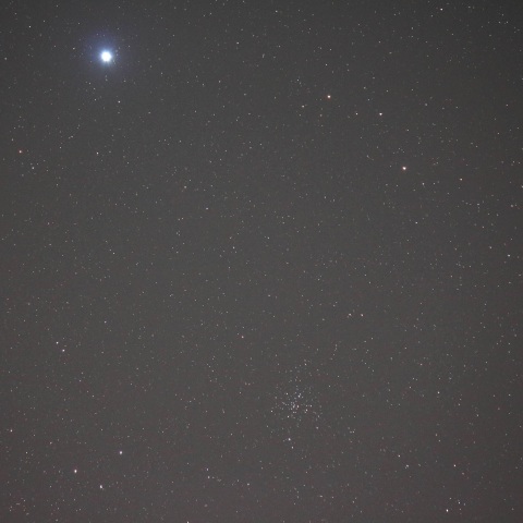 シリウスとM41