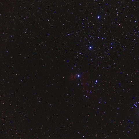 燃える木と馬頭星雲