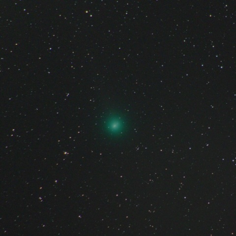 ラブジョイ彗星