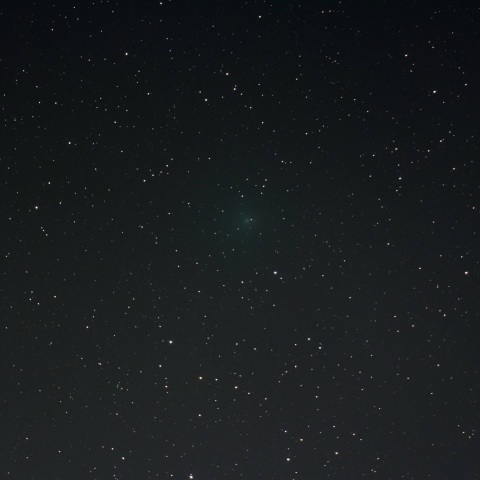 リニア彗星（252P）
