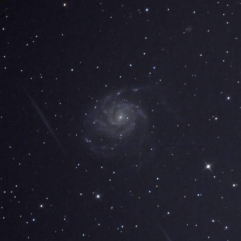 M101