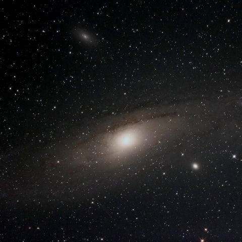 M31