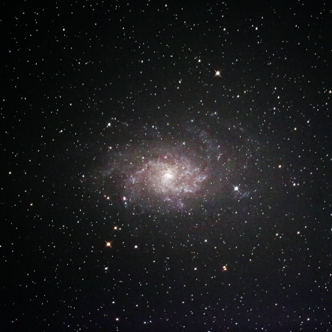 M33