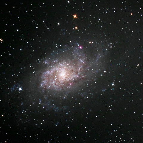 M33