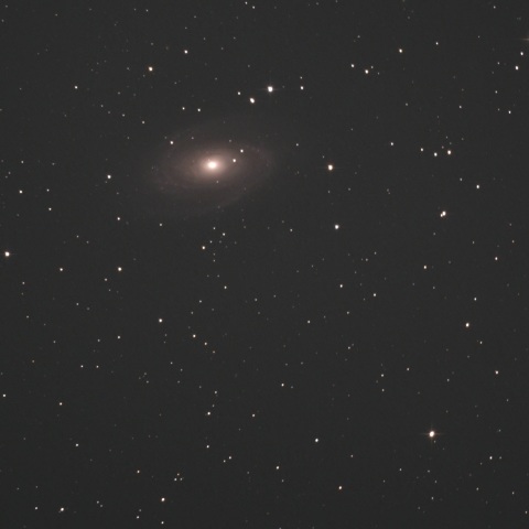 M81 M82