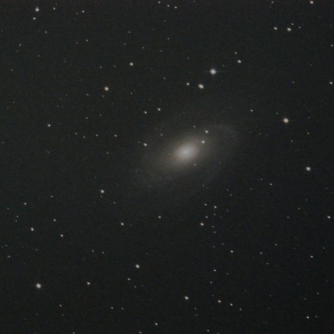 M81