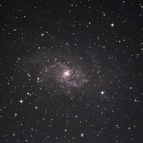 M33