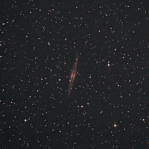 NGC891