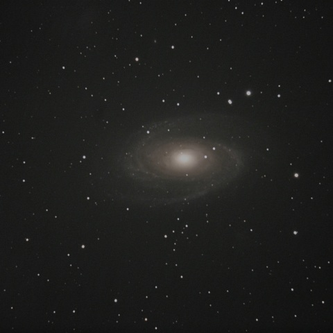 M81