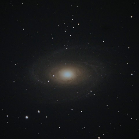 M81