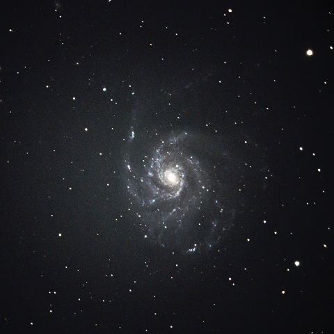 M101