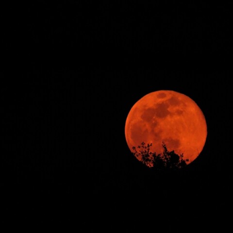 スーパームーン