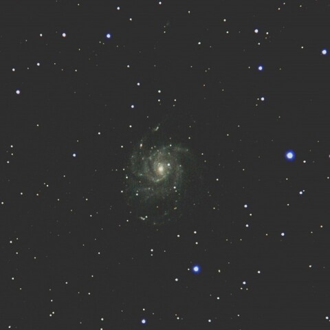 M101