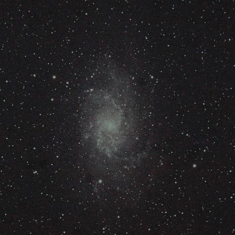 M33
