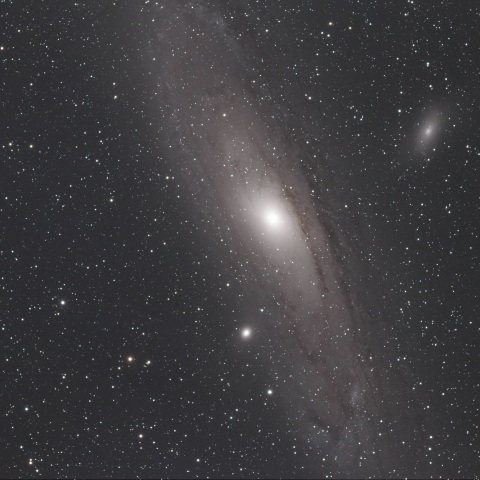 M31