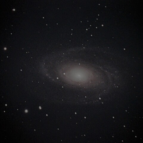 M81