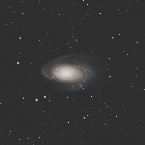 M81