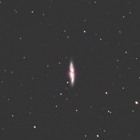 M82