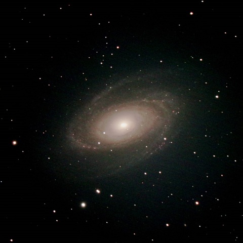 M81