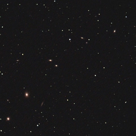 マルカリアンチェーン