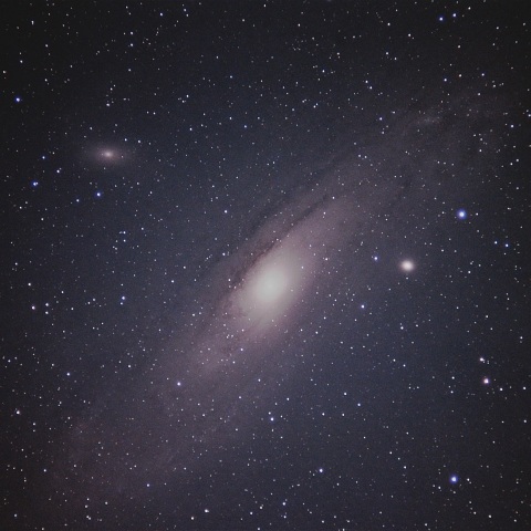 M31