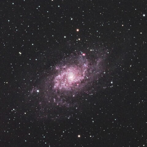M33